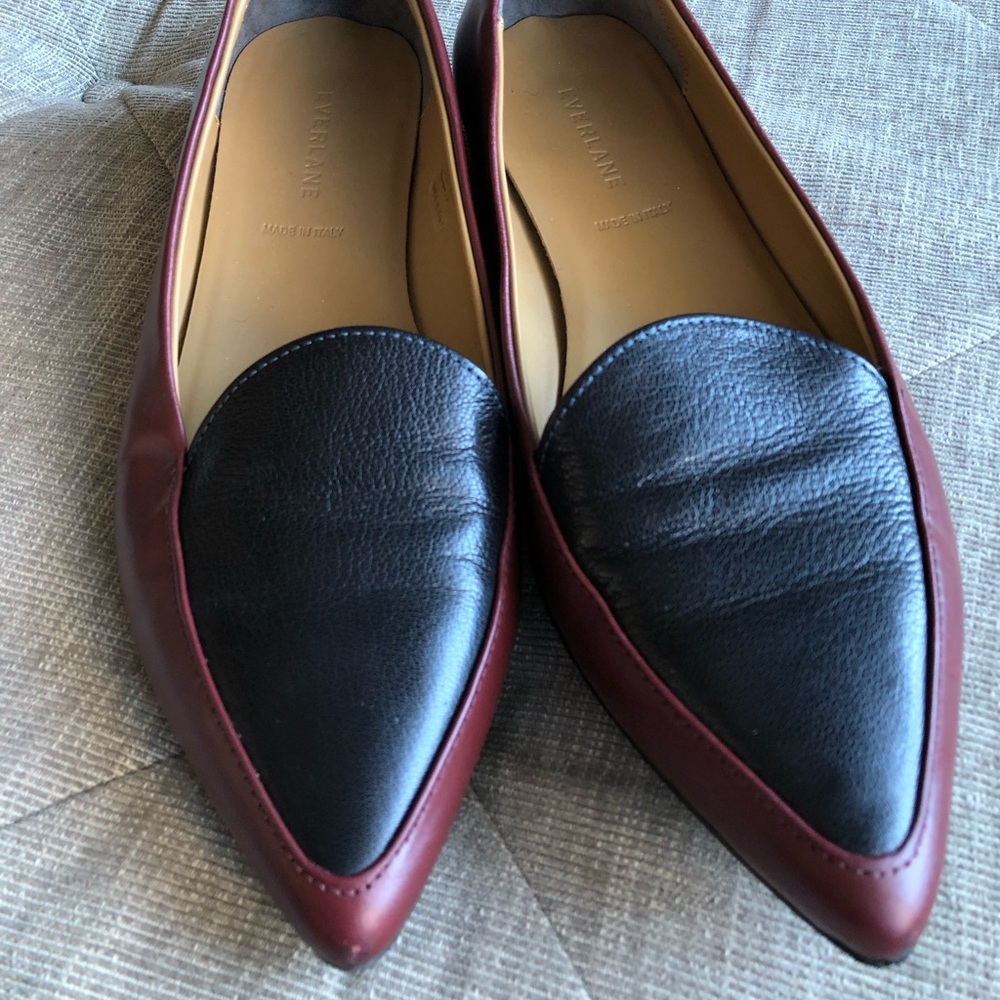 Everlane The Modern Point Toe Flats